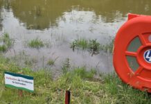 Hindernis vijver hole 18