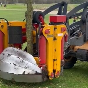 foto bomen verplaatsen