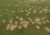Divots en pitchmarks: neem je verantwoordelijkheid