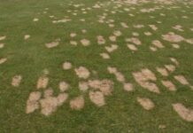 Divots en pitchmarks: neem je verantwoordelijkheid