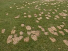 Divots en pitchmarks: neem je verantwoordelijkheid